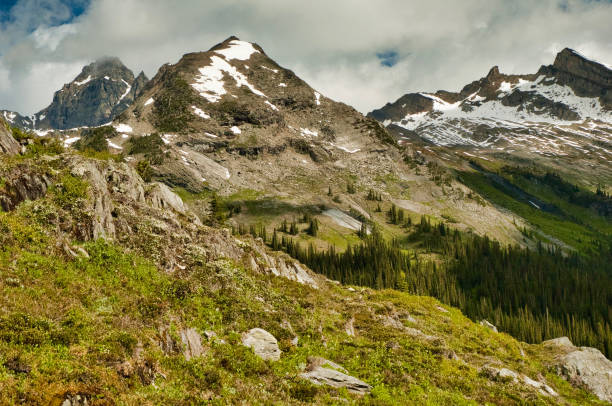 istock Helihiking in British Columbia 941008356