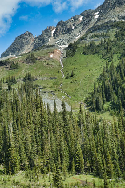 istock Helihiking in British Columbia 941008376