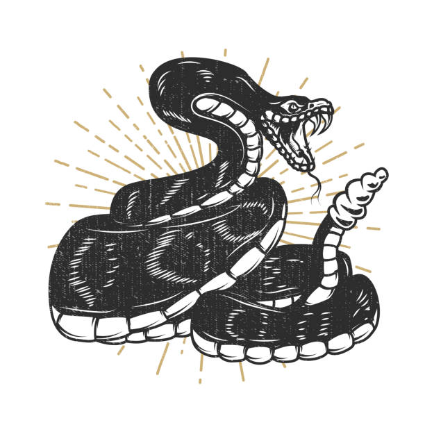illustrazioni stock, clip art, cartoni animati e icone di tendenza di illustrazione di serpente vipera. elemento di design per emblema, segno, poster, t camicia. - bite sized