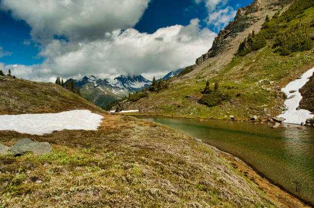 istock Helihiking in British Columbia 941008500