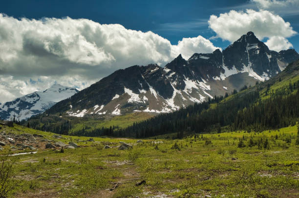 istock Helihiking in British Columbia 941009256
