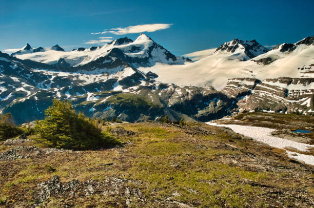 istock Helihiking in British Columbia 941009330