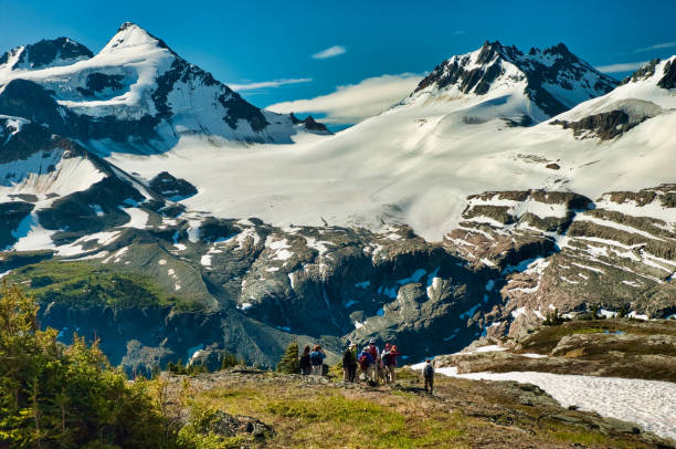 istock Helihiking in British Columbia 941009546