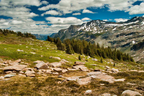 istock Helihiking in British Columbia 941012002