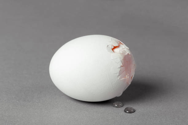 istock Broken white egg with a crack through which you can see the yolk. Gray background 941012250