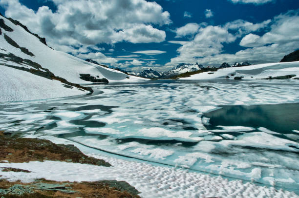 istock Helihiking in British Columbia 941012274