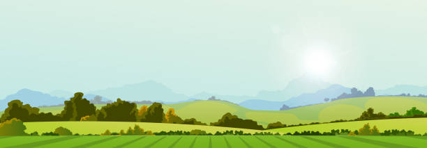 Summer Season Country Banner Illustration of a wide summer season country banner or header for web site valley stock illustrations