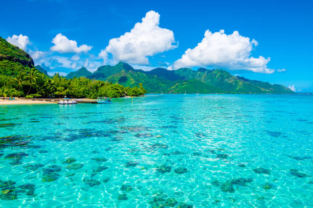istock Beautiful lagoon landscape in Moorea, French Polynesia 941013754