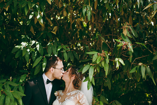 Beautiful wedding photosession. Groom in black suit, white shirt, bow tie and glasses and bride in elegant lace dress with veil and decoration in her hair kissing amidst the branches of green bush.