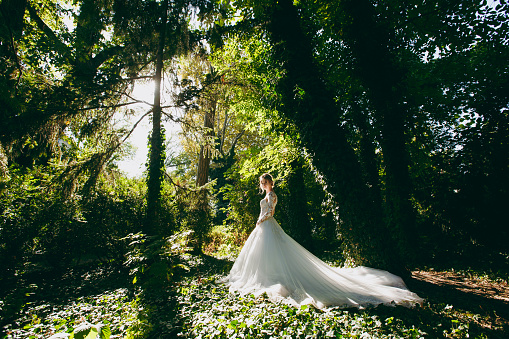 Beautiful wedding photosession. The young cute bride in a elegant white lace dress with a long plume and exquisite hairstyle in the middle of the trees in a large green garden on weathery sunny day.