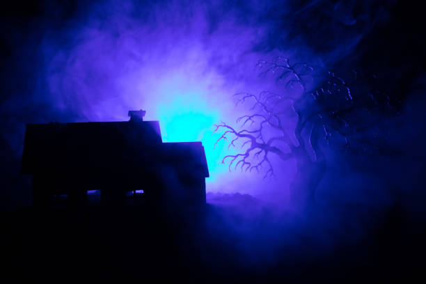 istock Old house with a Ghost at night with spooky tree or Abandoned Haunted Horror House in toned foggy sky with light. Old mystic building in dead tree forest. Halloween concept. 941024492