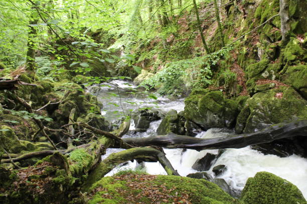 istock Nature Waterfalls and Landscape Backgrounds 941025246