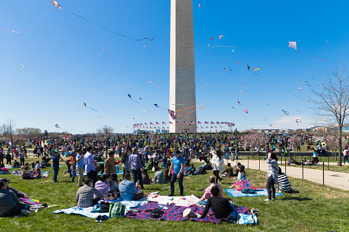 WASHINGTON, DC - March 31, 2018: A large crowd of adults and children flying kites at the Kite Festival on the National Mall, next to the Washington Monument during the Cherry Blossom Festival.