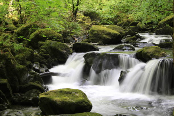istock Nature Waterfalls and Landscape Backgrounds 941025674