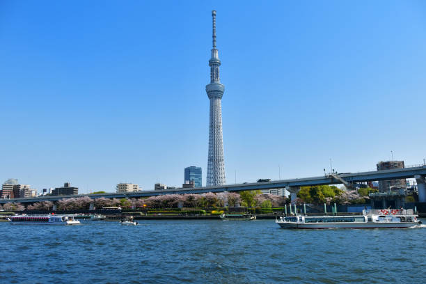 istock Scenery of the Sumidagawa River in spring 941028766