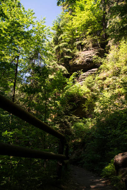 90+ De La Kamenice Photos Photos, taleaux et images libre de