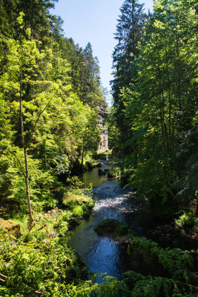 istock Kamnitz gorge, Bohemia, Czech Republic