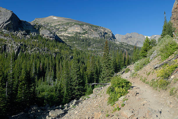 istock Hiking trail in Colorado Rocky Mountains 94103632