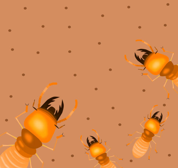 termite mit holz boden, cartoon-stil, isoliert vektor-illustration - ant underground animal nest insect stock-grafiken, -clipart, -cartoons und -symbole
