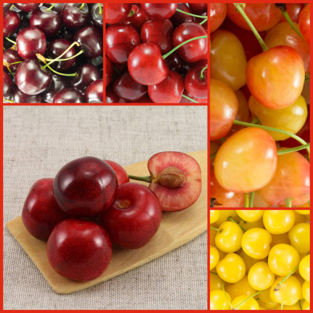 istock Collage from different varieties of sweet cherry - square 941040564