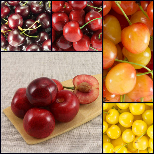 istock Collage from different varieties of sweet cherry  - square 941040646