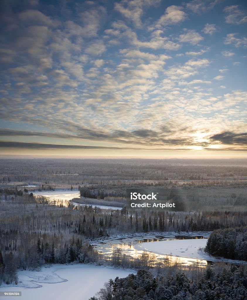 Fiume d'inverno di congelamento sera - Foto stock royalty-free di Albero