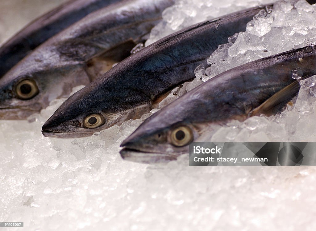 Fischen auf Eis - Lizenzfrei Auslage Stock-Foto