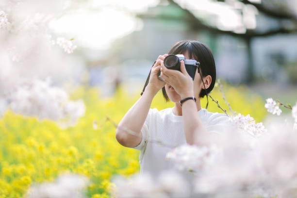 istock Young woman taking photos of cherry tree 941050312