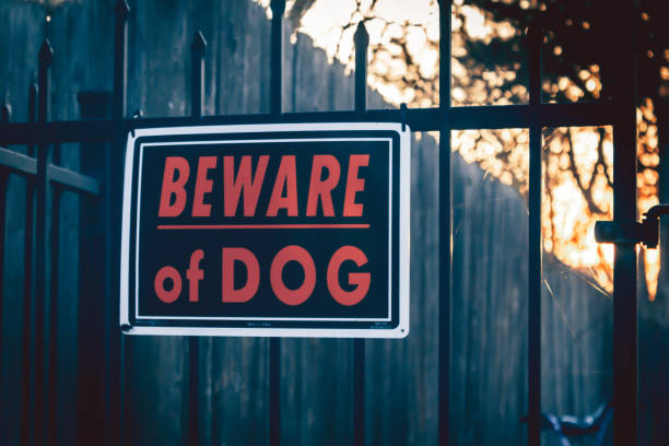Beware of Dog Sign Beware of dog sign hanging on a wrought iron gate with a wooden fence, trees, and sunrise in the background. guard dog photos stock pictures, royalty-free photos & images