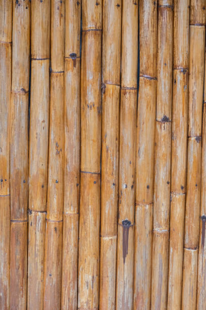 istock The surface and texture of the bamboo stem 941054624