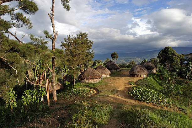 традиционная деревня-папуа-новая гвинея - papua new guinea стоковые фото и изображения