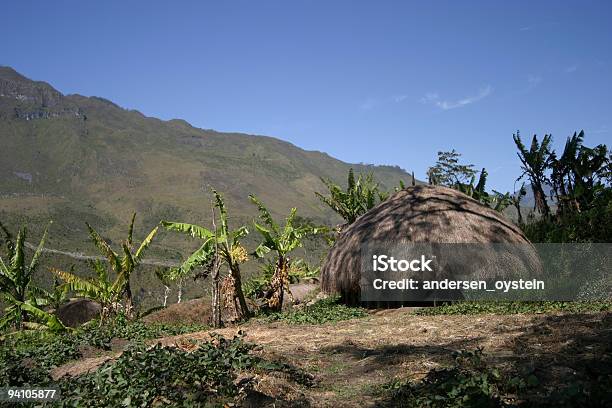 Tradizionale Casa Di Nuova Guinea - Fotografie stock e altre immagini di Tradizione - Tradizione, Albero, Ambientazione esterna