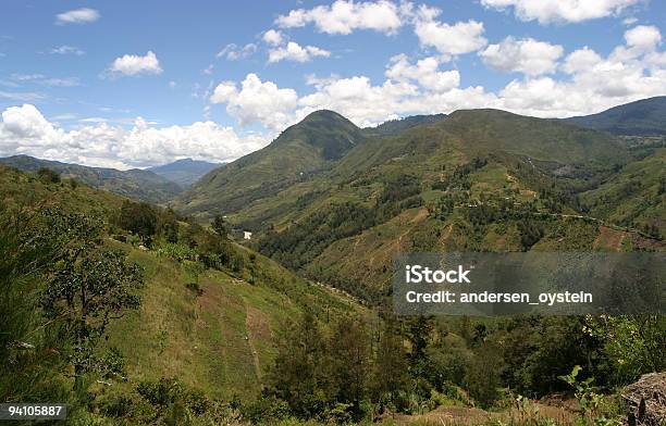 Papua Nuova Guinea Highlands - Fotografie stock e altre immagini di Papua Nuova Guinea - Papua Nuova Guinea, Montagna, Dani