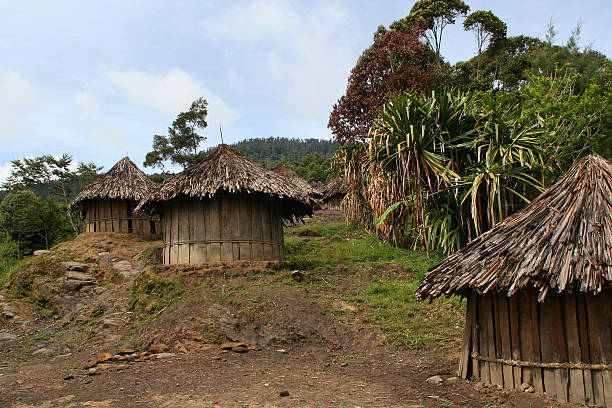 istock Huts of the New Guinea Highlands 94105893