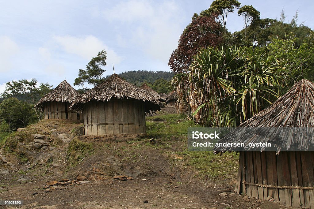 Хижинах Новой Гвинеи Плоскогорье - Стоковые фото Wamena роялти-фри