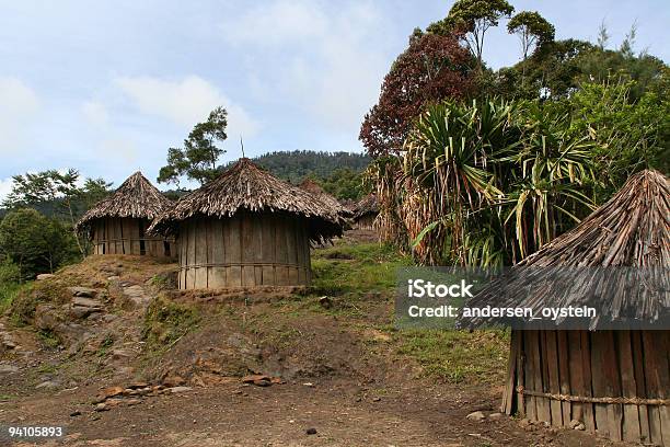 Хижинах Новой Гвинеи Плоскогорье — стоковые фотографии и другие картинки Wamena - Wamena, Аборигенная культура, Азиатского и индийского происхождения