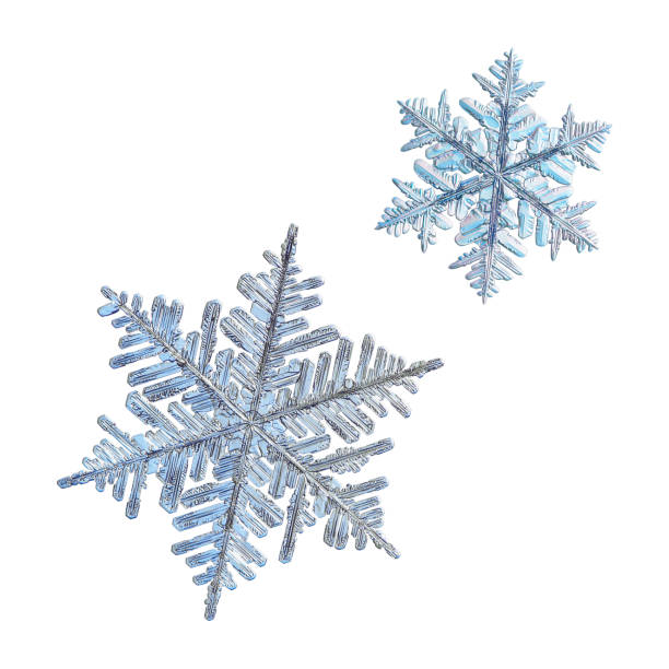 istock Two snowflakes isolated on white background 941059824