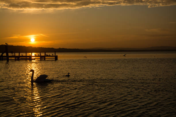 istock Sunset at the Lake Steinhude, Germany 941065790