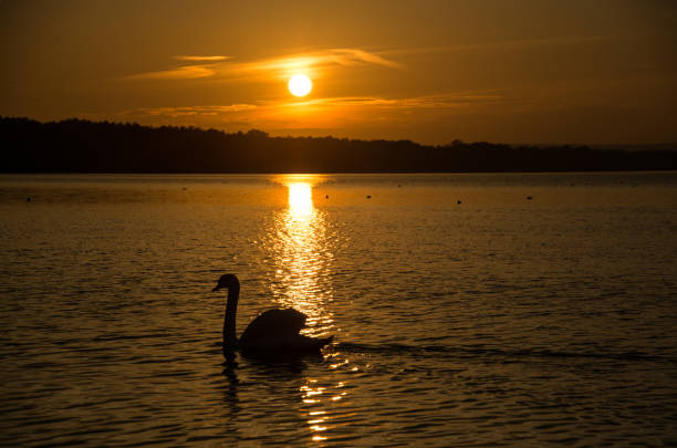 Sunset at the Lake Steinhude, Germany