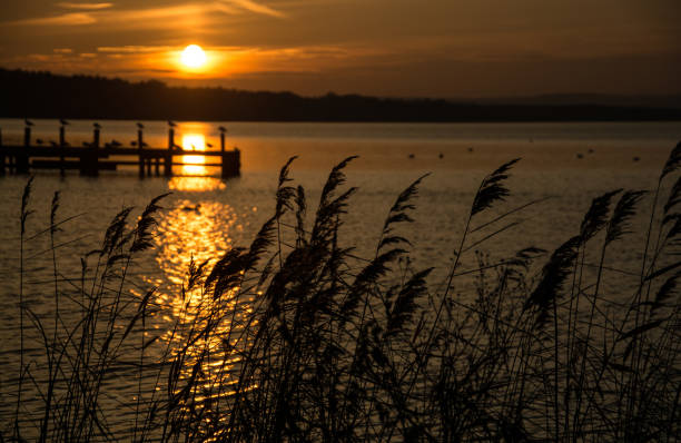 Sunset at the Lake Steinhude, Germany