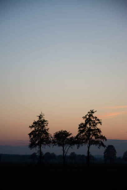 istock Sunset at the Lake Steinhude, Germany 941066328
