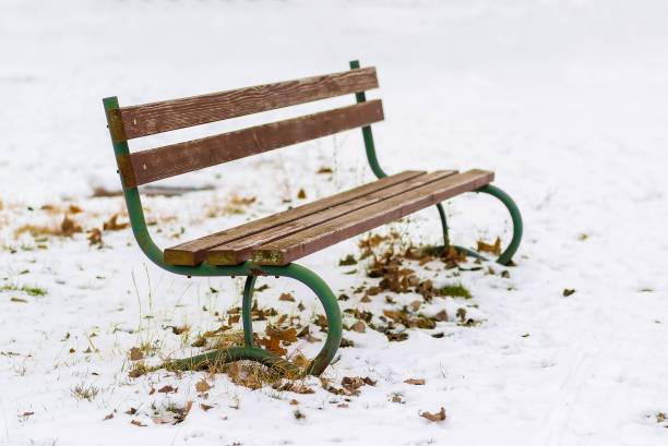 istock Empty wooden bench in the park at winter 941066546