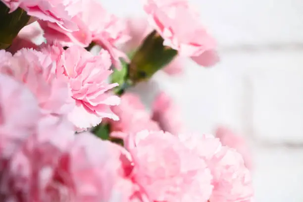 Photo of bouquet of pink spray carnations