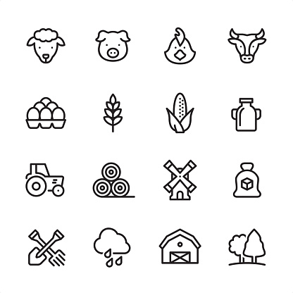 16 line black on white icons / Set #45 / Agriculture and Farm
Pixel Perfect Principle - all the icons are designed in 48x48pх square, outline stroke 2px.

irst row of outline icons contains: 
Sheep, Pig, Chicken, Cow;

Second row contains: 
Eggs in stack, Wheat, Corn Crop, Milk;

Third row contains: 
Tractor, Haystack, Windmill, Sugar Bag; 

Fourth row contains: 
Crossed Shovel and Rake, Rain, Barn, Forest.

Complete Inlinico collection - https://www.istockphoto.com/collaboration/boards/2MS6Qck-_UuiVTh288h3fQ