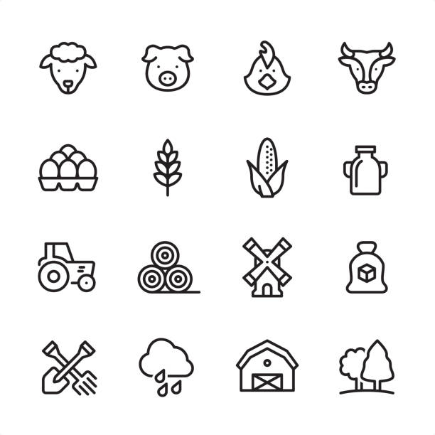Agriculture - outline icon set 16 line black on white icons / Set #45 / Agriculture and Farm
Pixel Perfect Principle - all the icons are designed in 48x48pх square, outline stroke 2px.

irst row of outline icons contains: 
Sheep, Pig, Chicken, Cow;

Second row contains: 
Eggs in stack, Wheat, Corn Crop, Milk;

Third row contains: 
Tractor, Haystack, Windmill, Sugar Bag; 

Fourth row contains: 
Crossed Shovel and Rake, Rain, Barn, Forest.

Complete Inlinico collection - https://www.istockphoto.com/collaboration/boards/2MS6Qck-_UuiVTh288h3fQ pig symbols stock illustrations