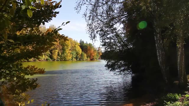autumn lake in the park