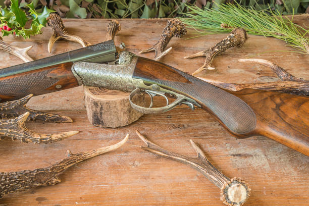 istock beautiful hunting rifle 941081484