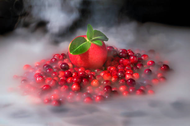 Sumptuous red apple with beautiful green leaves sits atop stunning red cranberries all submerged in dry ice