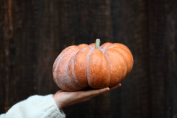 istock Yellow pumpkin on woman hands 941089382