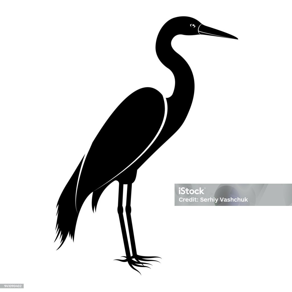 Vector image of the silhouette of the birds of the heron Bird stock vector